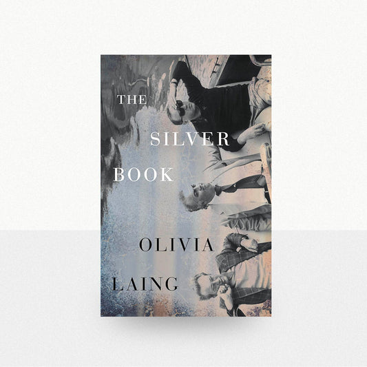 Laing, Olivia - The Silver Book