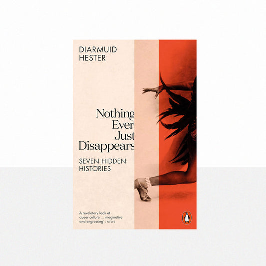 Hester, Diarmuid - Nothing Ever Just Disappears