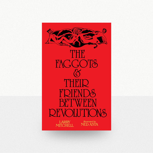 Mitchell, Larry - The Faggots & Their Friends Between Revolutions